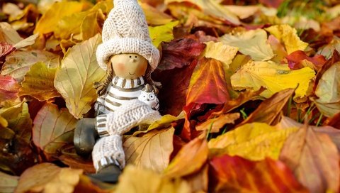 Обои природа, осень, игрушка, кукла, шапочка, фигурка, осенние листья, nature, autumn, toy, doll, cap, figure, autumn leaves разрешение 1920x1280 Загрузить