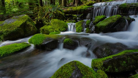 Обои река, природа, камни, лес, водопад, мох, river, nature, stones, forest, waterfall, moss разрешение 1920x1200 Загрузить