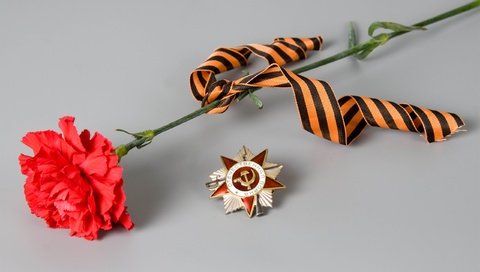 Обои цветок, день победы, 9 мая, гвоздика, георгиевская ленточка, flower, victory day, may 9, carnation, george ribbon разрешение 2560x1600 Загрузить