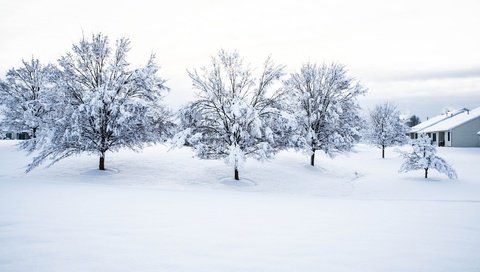Обои деревья, снег, природа, зима, пейзаж, дом, trees, snow, nature, winter, landscape, house разрешение 1920x1080 Загрузить