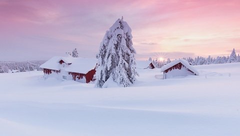 Обои снег, дерево, пейзаж, утро, дома, сугробы, snow, tree, landscape, morning, home, the snow разрешение 1920x1080 Загрузить