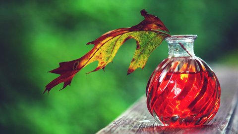 Обои осень, лист, бутылочка, флакон, деревянная поверхность, эликсир, autumn, sheet, bottle, wooden surface, elixir разрешение 3840x2400 Загрузить