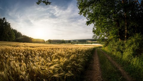 Обои небо, облака, природа, поле, лето, пшеница, следы, the sky, clouds, nature, field, summer, wheat, traces разрешение 3840x2400 Загрузить