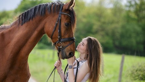 Обои лошадь, девушка, профиль, конь, грива, друзья, horse, girl, profile, mane, friends разрешение 2000x1333 Загрузить