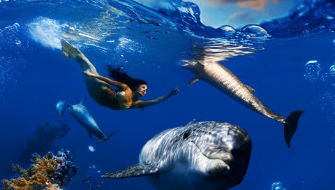 Обои небо, дельфины, облака, подводный мир, волны, русалка, море, плавает, рыбы, под водой, кораллы, пузырьки, the sky, dolphins, clouds, underwater world, wave, mermaid, sea, floats, fish, under water, corals, bubbles разрешение 3000x3000 Загрузить