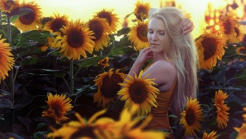 Обои цветы, девушка, блондинка, лето, подсолнухи, flowers, girl, blonde, summer, sunflowers разрешение 2048x1304 Загрузить