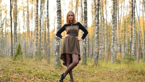 Обои лес, платье, березы, осень, модель, рыжеволосая, forest, dress, birch, autumn, model, redhead разрешение 3008x2008 Загрузить