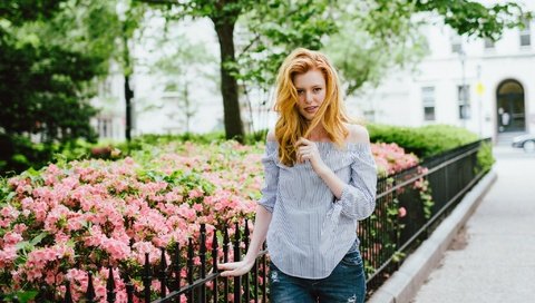 Обои цветы, девушка, поза, рыжая, джинсы, куст, рубашка, flowers, girl, pose, red, jeans, bush, shirt разрешение 2048x1365 Загрузить