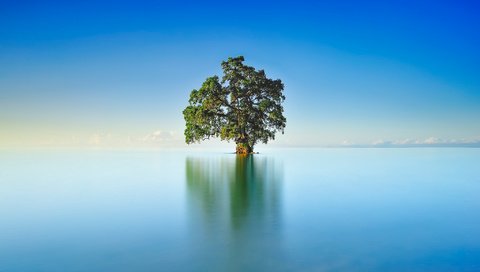 Обои небо, озеро, дерево, отражение, пейзаж, горизонт, гладь, the sky, lake, tree, reflection, landscape, horizon, surface разрешение 2048x1284 Загрузить