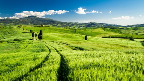 Обои небо, трава, облака, холмы, пейзаж, поле, италия, тоскана, the sky, grass, clouds, hills, landscape, field, italy, tuscany разрешение 2560x1440 Загрузить