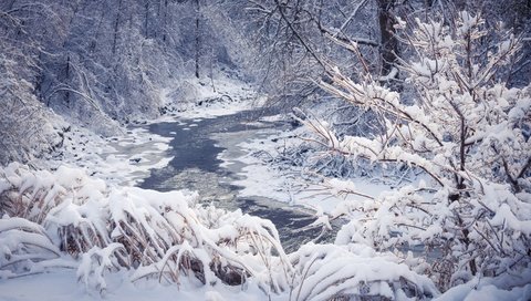 Обои деревья, река, снег, природа, лес, зима, пейзаж, trees, river, snow, nature, forest, winter, landscape разрешение 2880x1800 Загрузить