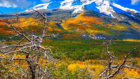 Обои деревья, горы, снег, осень, колорадо, аспен, trees, mountains, snow, autumn, colorado, aspen разрешение 1951x1390 Загрузить