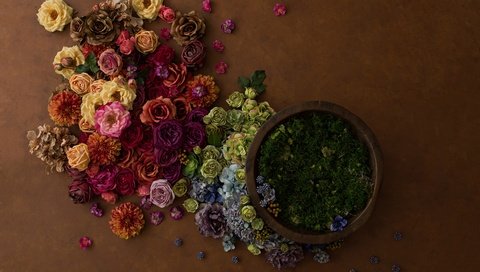 Обои цветы, бутоны, розы, лепестки, много, композиция, декор, флористика, flowers, buds, roses, petals, a lot, composition, decor, floral разрешение 15000x10000 Загрузить