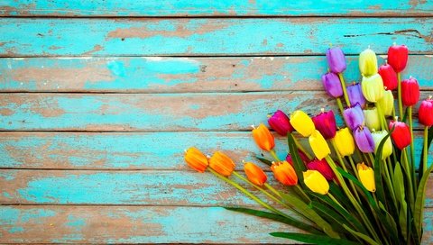 Обои доски, тюльпаны, board, tulips разрешение 6183x4122 Загрузить