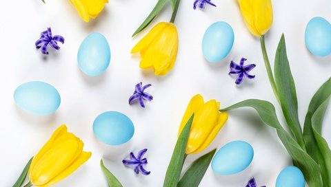 Обои тюльпаны, белый фон, пасха, яйца, желтые, tulips, white background, easter, eggs, yellow разрешение 5760x3840 Загрузить