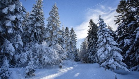 Обои дорога, синева, облака, сугробы, деревья, зимняя, заснеженный, снег, зимний пейзаж, лес, зима, иней, ели, road, blue, clouds, the snow, trees, snowy, snow, forest, winter, frost, ate разрешение 5760x3840 Загрузить