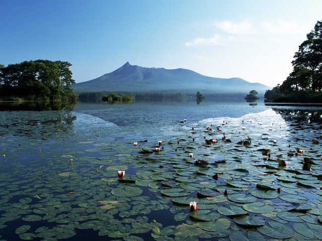 Обои озеро, горы, тишина, лилии, lake, mountains, silence, lily разрешение 1920x1200 Загрузить