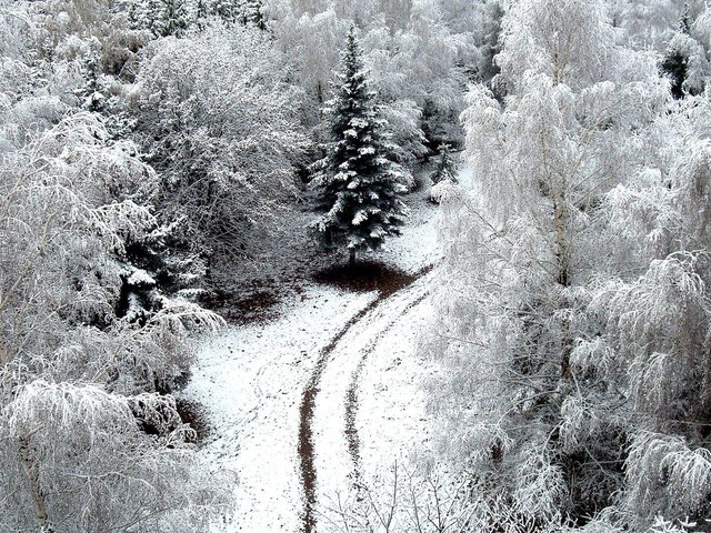 Обои дорога, деревья, снег, обои, зима, winer, деревь, на природе, автодорога, road, trees, snow, wallpaper, winter, nature разрешение 1920x1080 Загрузить