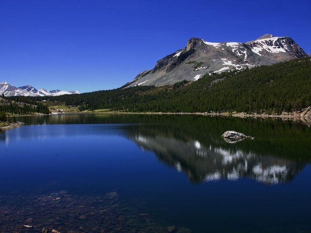 Обои деревья, озеро, горы, калифорния, йосемити, озеро тиога, tioga lake, trees, lake, mountains, ca, yosemite разрешение 1920x1200 Загрузить