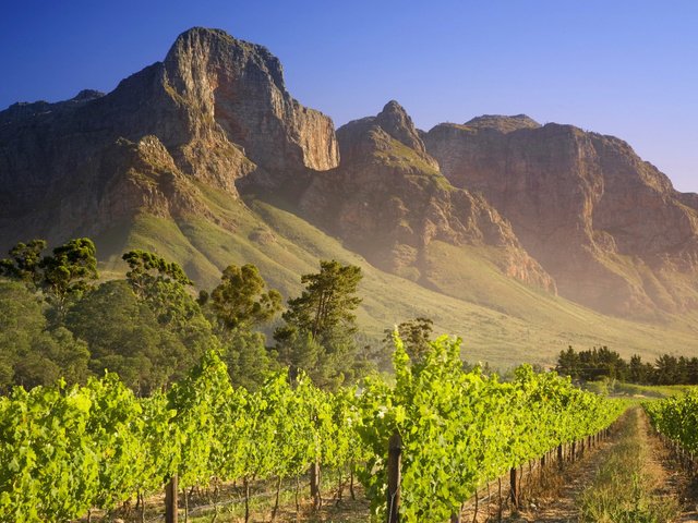 Обои дорога, горы, природа, виноградник, road, mountains, nature, vineyard разрешение 1920x1200 Загрузить