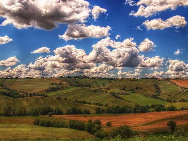 Обои небо, трава, облака, поле, the sky, grass, clouds, field разрешение 1920x1200 Загрузить