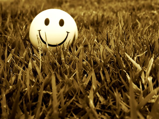 Обои трава, настроение, улыбка, смайл, grass, mood, smile разрешение 2048x1536 Загрузить