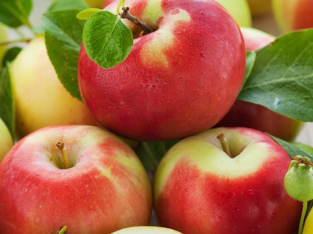 Обои листья, фрукты, яблоки, плоды, leaves, fruit, apples разрешение 2560x1600 Загрузить