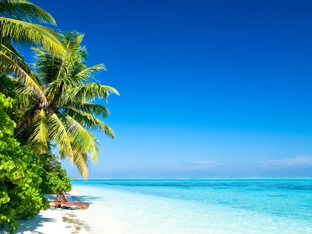 Обои пляж, пальмы, тропики, beach, palm trees, tropics разрешение 1920x1081 Загрузить