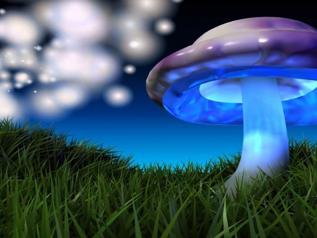 Обои картинка, 3д, зелёная трава, разноцветный гриб, picture, 3d, green grass, colorful mushroom разрешение 1920x1080 Загрузить
