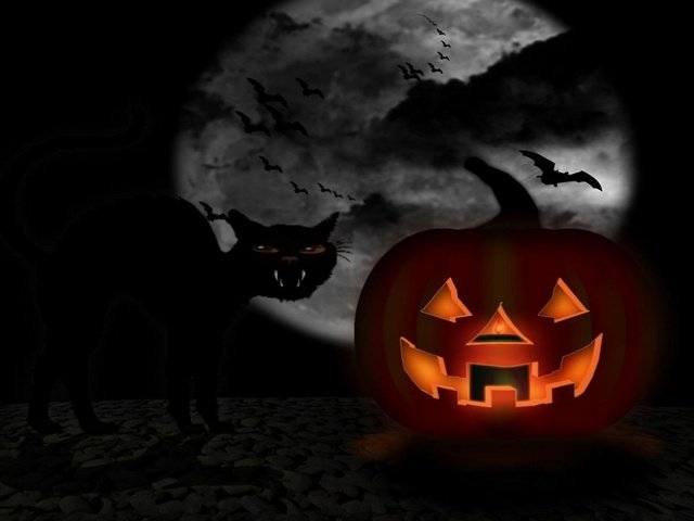 Обои тыквы и кот на фоне луны, pumpkin and cat on moon background разрешение 2560x1440 Загрузить
