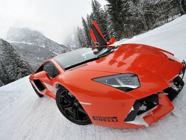 Обои снег, ракурс, спорткар, моська, lamborghini aventador lp700-4, snow, view, sports car, pug разрешение 2560x1703 Загрузить