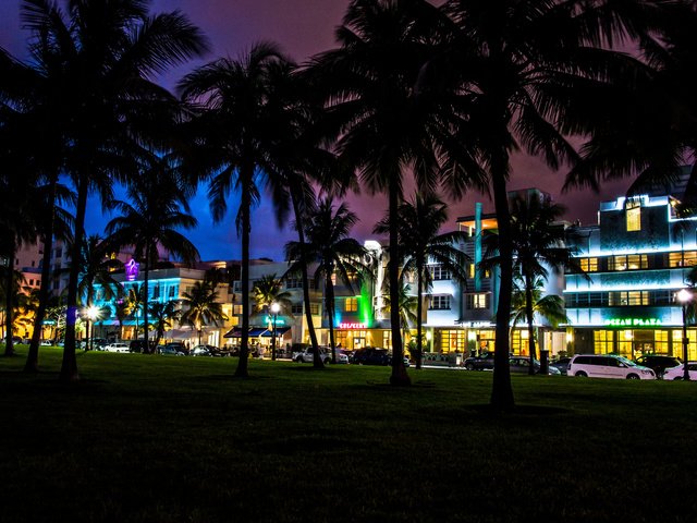 Обои ночь, пальмы, флорида, майами, south beach, штат флорида, night, palm trees, fl, miami, florida разрешение 2560x1600 Загрузить