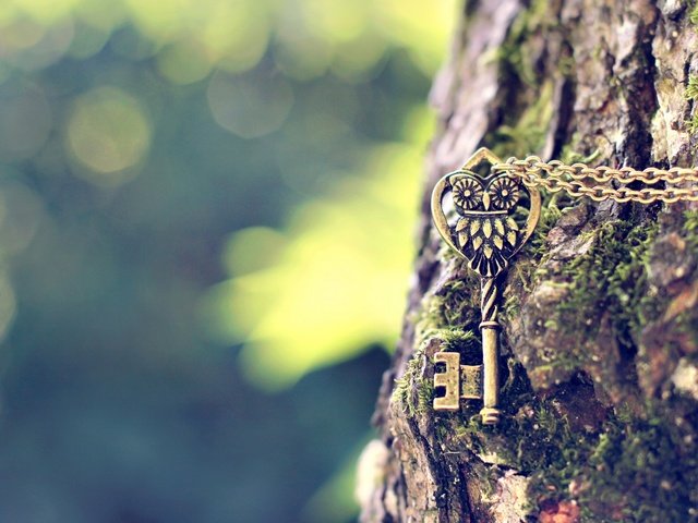 Обои сова, дерево, ключ, металлический, цепочка, подвеска, owl, tree, key, metal, chain, suspension разрешение 1920x1200 Загрузить