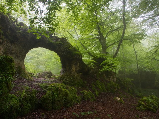 Обои деревья, природа, лес, скала, туман, арка, trees, nature, forest, rock, fog, arch разрешение 1920x1281 Загрузить