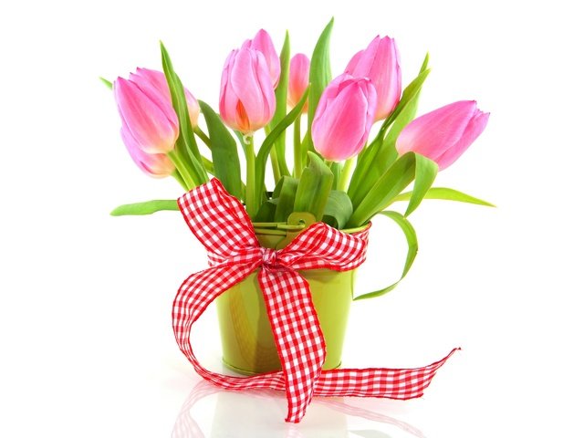 Обои цветы, букет, тюльпаны, розовые, белый фон, лента, ведерко, flowers, bouquet, tulips, pink, white background, tape, bucket разрешение 2880x1920 Загрузить