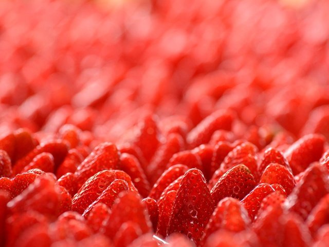 Обои макро, клубника, ягоды, лесные ягоды, земляника, macro, strawberry, berries, strawberries разрешение 2048x1365 Загрузить