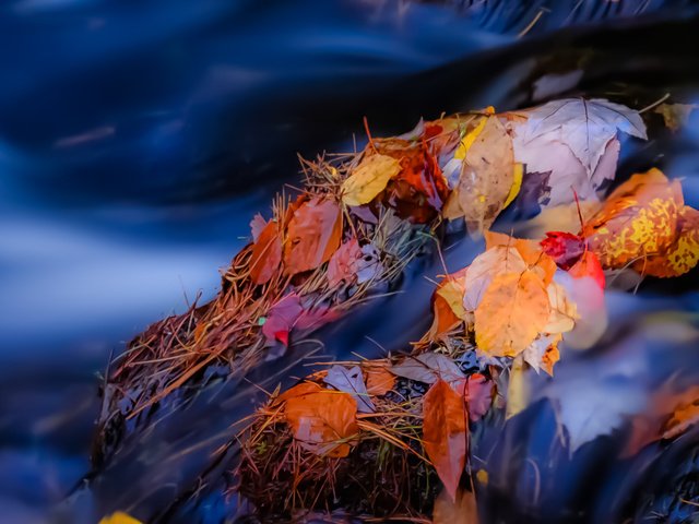 Обои река, камни, листья, ручей, осень, поток, осенние листья, river, stones, leaves, stream, autumn, autumn leaves разрешение 1931x1291 Загрузить