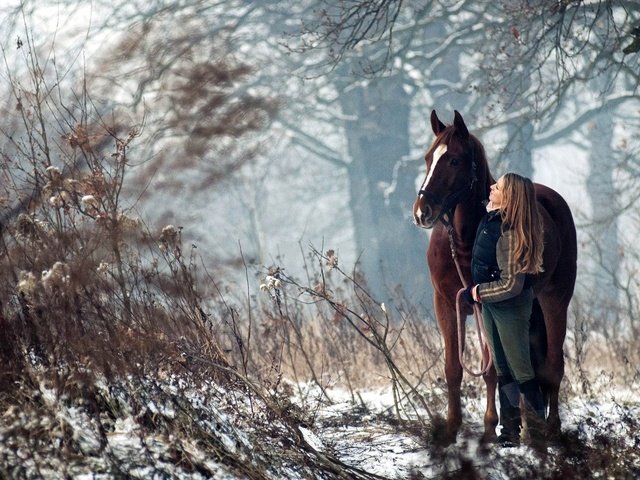 Обои лошадь, деревья, снег, лес, девушка, конь, наездница, horse, trees, snow, forest, girl, rider разрешение 1920x1080 Загрузить