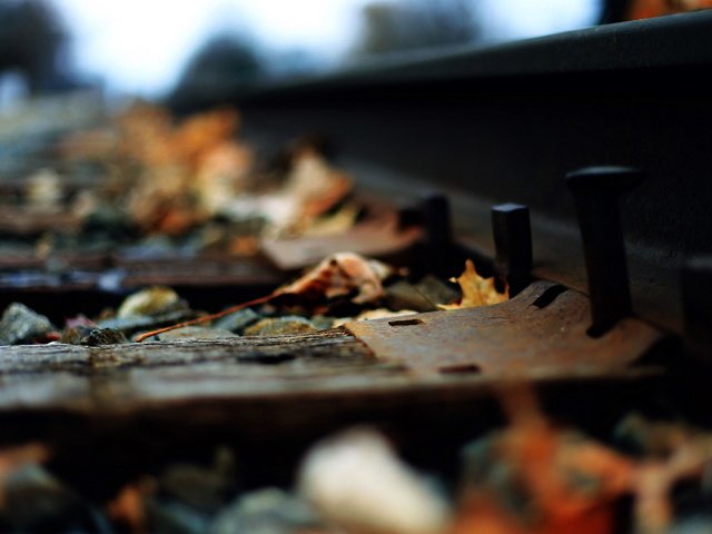 Обои железная дорога, рельсы, листья, макро, осень, railroad, rails, leaves, macro, autumn разрешение 2560x1706 Загрузить
