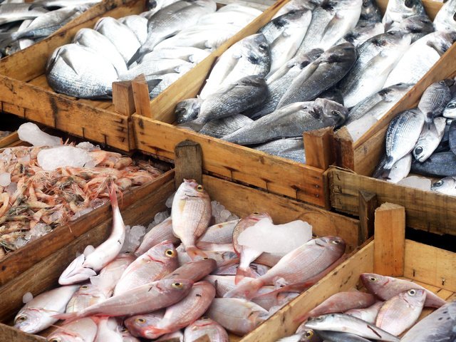 Обои рыба, дерева, ящики, разнообразие, свежая, коробочки, fresh fish, variety, fish, wood, boxes, diversity, fresh разрешение 2879x1725 Загрузить