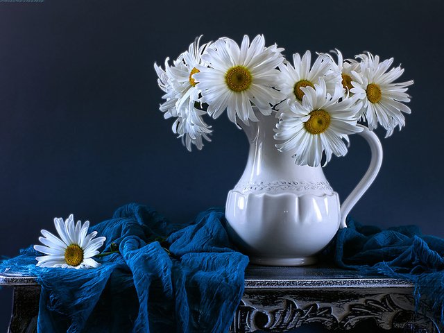 Обои цветы, ромашки, кувшин, столик, натюрморт, шарф, flowers, chamomile, pitcher, table, still life, scarf разрешение 1980x1301 Загрузить