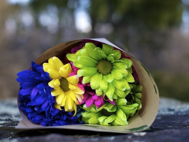 Обои цветы, букет, flowers, bouquet разрешение 1920x1080 Загрузить