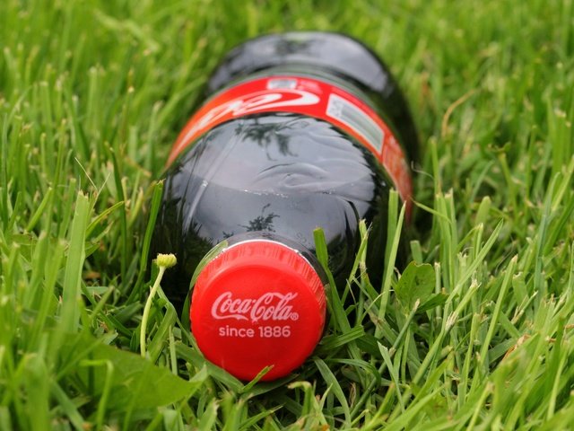 Обои трава, напиток, бутылка, лужайка, газон, кока-кола, кола, grass, drink, bottle, lawn, coca-cola, cola разрешение 5184x3456 Загрузить