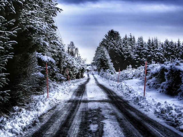 Обои дорога, лес, road, forest разрешение 3840x2160 Загрузить