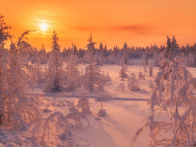Обои небо, солнце, снег, природа, закат, зима, пейзаж, рассвет, the sky, the sun, snow, nature, sunset, winter, landscape, dawn разрешение 2000x1333 Загрузить