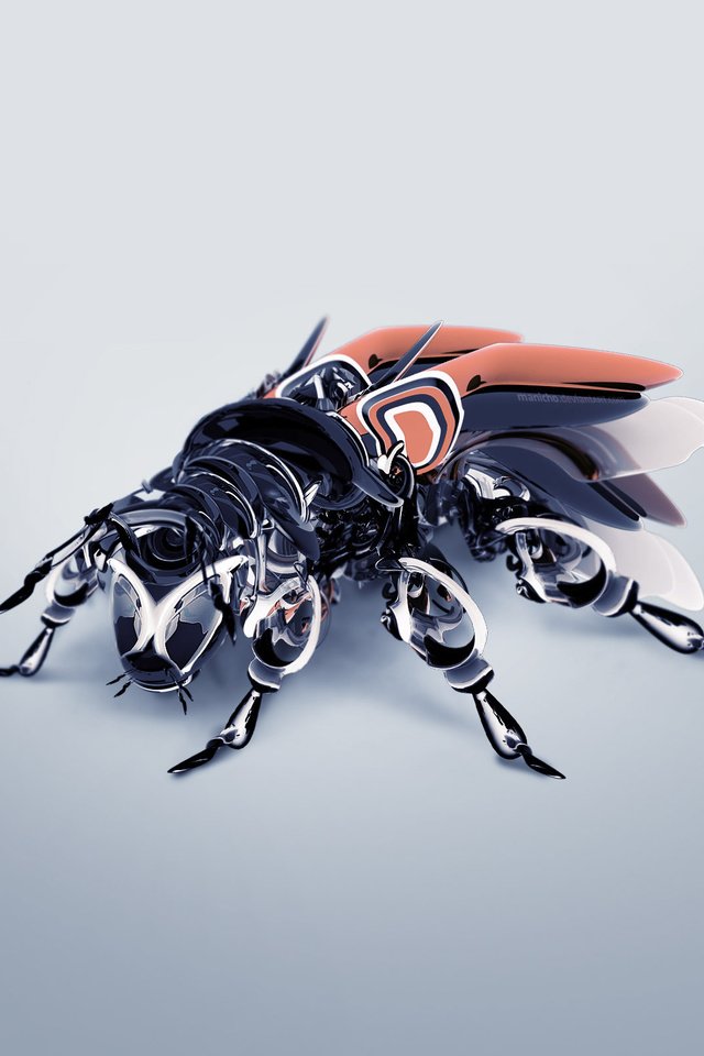 Обои жук, крылья, усики, 3д, beetle, wings, antennae, 3d разрешение 2560x1600 Загрузить