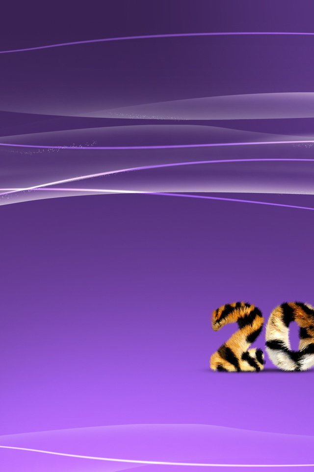 Обои тигр, полосы, новый год, линии, волны, фиолетовый, 2010, tiger, strip, new year, line, wave, purple разрешение 2560x1600 Загрузить