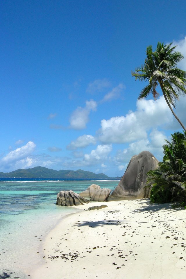 Обои море, пляж, пальмы, остров, sea, beach, palm trees, island разрешение 2000x1435 Загрузить