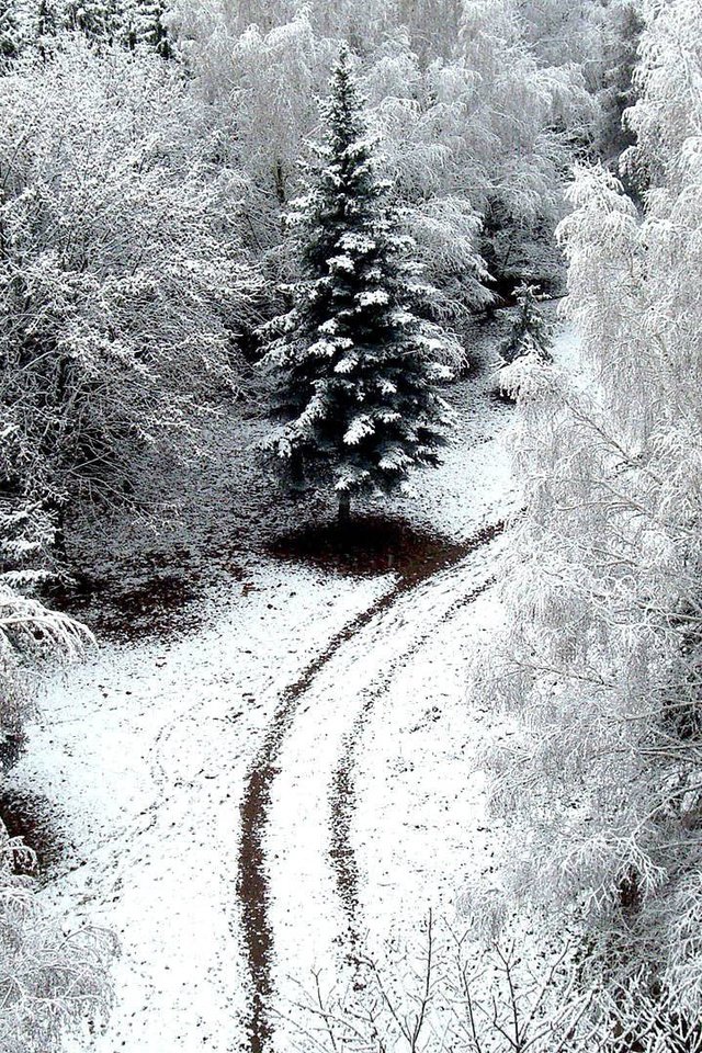 Обои дорога, деревья, снег, обои, зима, winer, деревь, на природе, автодорога, road, trees, snow, wallpaper, winter, nature разрешение 1920x1080 Загрузить