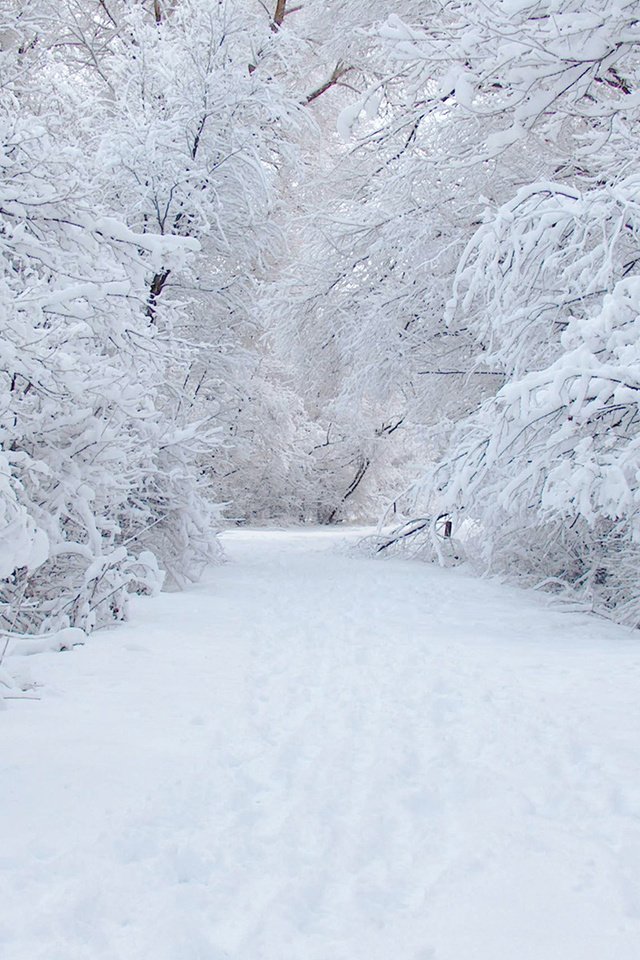 Обои дорога, снег, зима, road, snow, winter разрешение 1920x1280 Загрузить